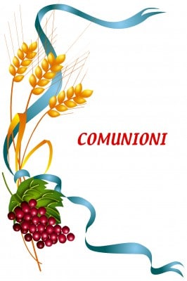 COM11