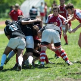 rugby